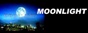  Сайт о сериале Moonlight